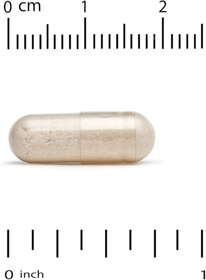 51RMQB9PJnL._AC_SX679_